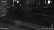 Sidewalk.20250621_223901130.59.jpg