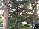 IMG_0062.jpeg