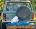 1750953386697.png