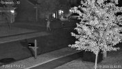 South Parked Motion 2.jpg