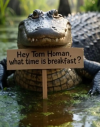 1751781240112.png