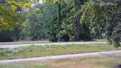 Path, North 2025-07-06 04.38.23.180 PM.jpg