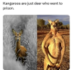 1751900819356.png