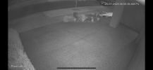 IMG_0358.png