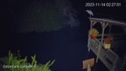 Home_GatorCam-Color4K-T_main_20231114022701_@5.jpg