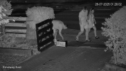 vlcsnap-2025-07-27-09h19m44s466.png