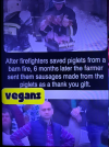 1753674922674.png