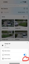 IMG_2531.jpeg