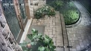 1000061635.jpg