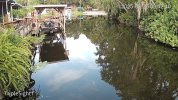 IMG_9612.jpeg