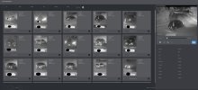 VMD vehicles night.jpg