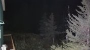stick.jpg