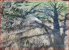 Capture.JPG