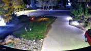 2025_10_20_WB_Auto_versus_Street-Lamp.gif