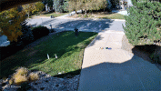 2025_10_23_1536_5-0-0-0_FW0827-1022.gif