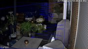 100% leds.jpg