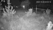 54PRO-PRO-IR (Large).jpg