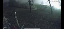 IMG_7005.png