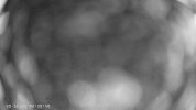 DS-2CD2185FWD-I.jpg
