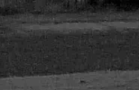 grainy.png
