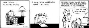 Calvin-n-Hobbes_good-for-xmas.jpg
