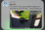 1772676636478.png