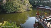 Home_GatorCam-Color4K-T_main_20240506075314_@5.jpg