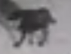 1776951034790.png