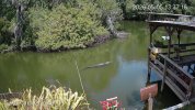 192.168.1.110_GatorCam-Color4K-T_main_20260505133716_@1.jpg