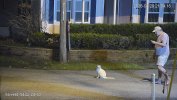 192.168.1.110_StreetE-5442-Z4-S3_main_20260429215416_@1.jpg
