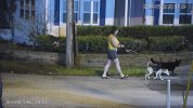 192.168.1.110_StreetE-5442-Z4-S3_main_20260502205129_@1.jpg