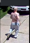 1778461163384.png