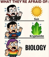 1778533285190.png