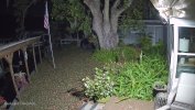 Home_Backyard-5442-ASE_main_20240312214610_@5.jpg