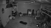 Garage 2026-06-07 09.23.19.881 AM.jpg