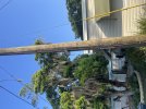 IMG_1831.jpeg IMG_1831.jpeg