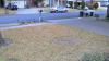 daytime.png