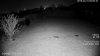 4231_IR-off_HDW4231EM-ASE.jpg