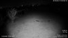 4231_IR-off_HDW4431EM-ASE.jpg