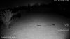 4431_IR-off_HDW4231EM-ASE.jpg