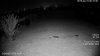 both_IR_HDW4231EM-ASE.jpg