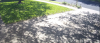 shadows.PNG