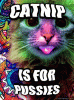 lsd.gif