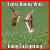 bunny-kung-fu.jpg