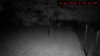 Cam30.20180816_211816_800.jpg