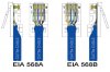 ieb4637_2.jpg