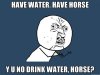 horsey.jpg