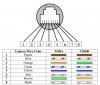 Hikvision_IP_Camera_pinout_2.jpg