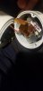 20190106_104406.jpg
