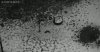 0F95C9ED-12A8-449E-9331-1EF335FABA88.jpeg